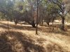 20181002_122157.jpg