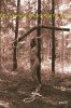 3The_girl_who_beat_the_Crucifix_by_makar013.jpg