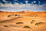 camels-in-the-sand-dunes.jpg