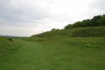 060129~Badbury Rings_0436 1500kb.jpg