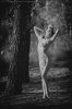 Sylph-Nude-II-02.jpg