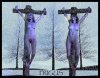 Seasonal Sacrifice  Winter Crux 12-21.jpg