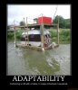 adaptability-demotivational-poster-1226145985.jpg
