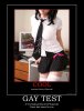 gay-test-gay-test-world-of-warcraft-nerd-pc-beauty-girl-demotivational-poster-1221510556.jpg