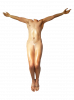 Body (220A).png