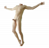 Body (221).png