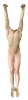 Body (223).png