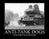 antitankdog.jpg