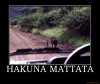 hakuna-mattata-demotivational-poster-1251132210.jpg