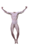 Body (246).png