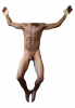 Body (251).png