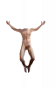 Body (252).png