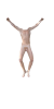 Body300.png