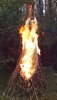 burninquisition_by_annaprovidence-d6nob2z.jpg