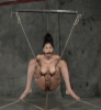 bdsmlr-109529-XL75fqPlkI.GIF