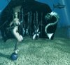 diving lesson.jpg