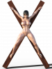 Cross 5.png Cross 5.png
