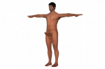 128_male_character_with_penis_3d_model_c4d_max_obj_fbx_ma_lwo_3ds_3dm_stl_3456842_o-removebg-p...png