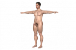 124_male_character_with_penis_3d_model_c4d_max_obj_fbx_ma_lwo_3ds_3dm_stl_3455646_o-removebg-p...png
