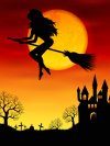 witch-flying-broomstick_222142-77.jpg