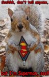 Supersquirrel.jpg