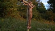 crucified_as_punishment_14_by_hogtiedmale_deg2uuv-pre.jpg