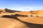 horseback-riding-in-the-sahara.jpg