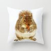 squirrel-with-an-acorn-pillows.jpg