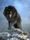 dire_wolf_by_deskridge_dd9hy5m-fullview.jpg dire_wolf_by_deskridge_dd9hy5m-fullview.jpg
