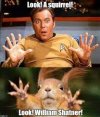 squirrelshatner.jpg