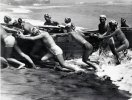 Pearl divers of Japan, 1950s (9).jpg