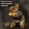 SquirrelDomina.jpg