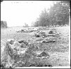 494px-Gettysburg,_Pa._Confederate_dead_gathered_for_burial_at_the_edge_of_the_Rose_woods,_July...jpg