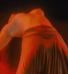 A923E58A-BC15-4052-A9E5-B60C4CF02155.gif