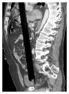 xray-361829.fig.001.jpg