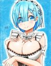 rem35.jpg