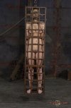 medieval-torture-slave-is-caged.jpg