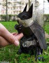 Batman-Squirrel--44792.jpg