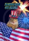 4thofjulysquirrel.jpg