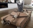 cats-in-tanks19.jpg