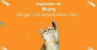 Ginger Cat Appreciation Day.jpg