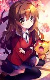 Toradora-Aisaka Taiga.jpg