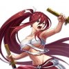 2Erza ScarletFromFairyTail.jpeg