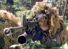 Squirrel_Border_ Patrol.jpg
