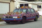 squirrel car.jpg