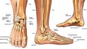 ankle-fractures-page.jpg