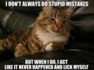 Funny-Cat-Memes-6.jpg