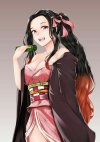 nezuko27.jpg