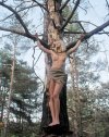 1662935006_3-titis-org-p-crucified-women-chastnaya-erotika-4.jpg