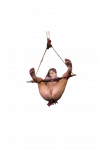 alice hanging2.png